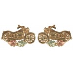 Motorcycle Earrings - by Coleman